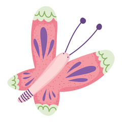 cute butterfly cartoon wildlife isolated style