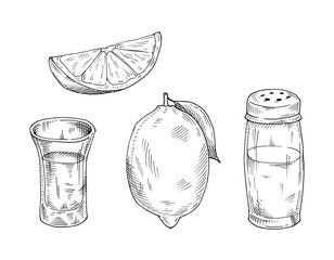 Glass tequila, salt shaker and lime. Hand drawn sketch illustration.