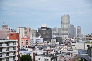 Fototapeta na wymiar Tokyo city shot with buildings
