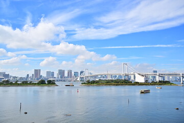 Fototapeta premium Tokyo bridge with buildings in the background