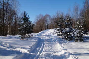winter landscape with snow