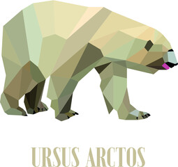 The low poly vector image of polar bear