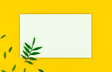 Spring greeting card mockup with green leaves, blank paper on yellow background, top view and flat lay concept of holidays
