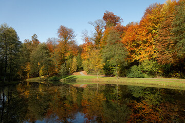 Pond landscape in autumn, Bad Iburg, Osnabrueck country, Lower Saxony, Germany