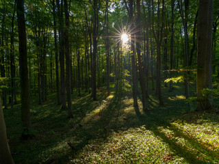 The Thuringian Forest Nature Park, part of the UNESCO World Heritage Site. Primeval Beech Forests of the Carpathians and the Ancient Beech Forests of Germany.