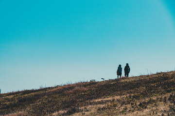 河川敷の風景
Riverbed