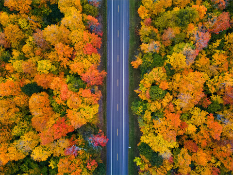 Autumn drive through the tunnel of Trees in Michigan Upper Peninsula UP - Highway 41  M26 Aerial view