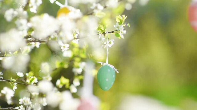 Multicolored easter eggs hanging on a branch of a blossoming apple tree during traditional egg hunt. Party for children in spring park on Easter day.