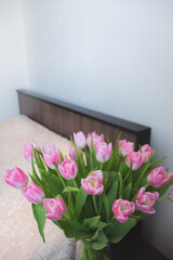 pink tulips on the background of the room