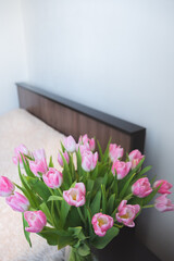 pink tulips on the background of the room