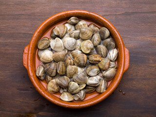 Living Uncooked Calms, Seashell