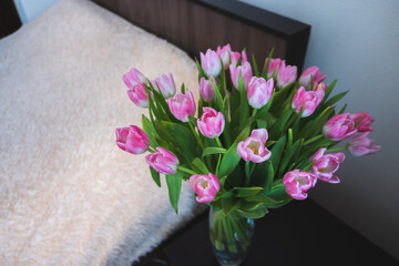 pink tulips on the background of the room