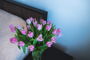pink tulips on the background of the room