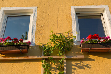 Fototapeta na wymiar Window With Geraniums
