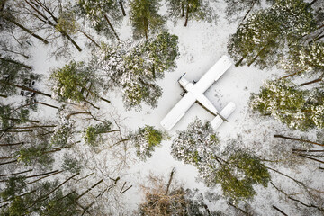 old plane in the forest