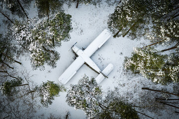 old plane in the forest
