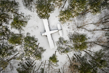 old plane in the forest
