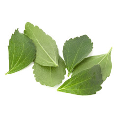 Stevia leaves pieces isolated om white background cut out.