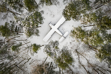old plane in the forest