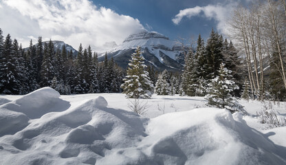 Obraz premium Beautiful landscape in Banff national park in Winter.&nbsp;Banff national park, Alberta, Canada