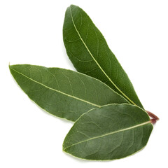 Obraz premium Aromatic bay leaves
