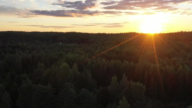 Aerial Drone View Flight over pine tree forest at sunset. Scenic Colorful Sky At Dawn. Aerial view landscape