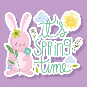 spring time rabbit flowers and sun cartoon card