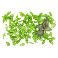 Varieties of basil leaves background arrangement isolated on white. Top view.