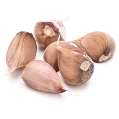 garlic cloves isolated on white background cutout