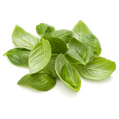 Sweet basil herb leaves handful isolated on white background closeup