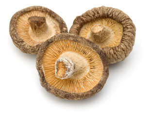 Dried Shiitake Mushroom isolated on white background