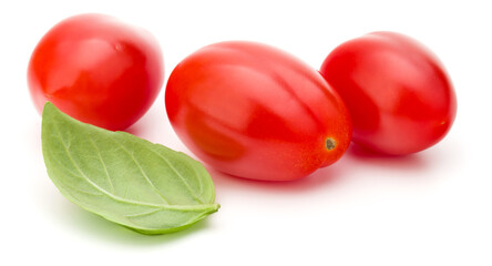 fresh plum tomato with basil leaf isolated on white background