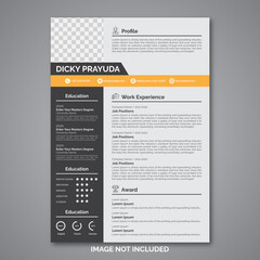 Professional curriculum vitae template