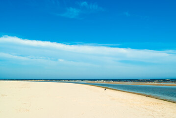 beach.in the photo, the sea shore against the blue sky