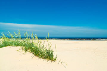 beach.in the photo, the sea shore against the blue sky