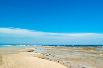 Fototapeta na wymiar beach.in the photo, the sea shore against the blue sky