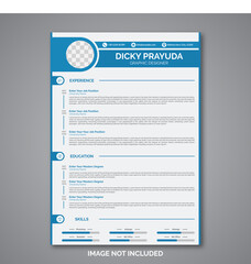 Professional curriculum vitae template