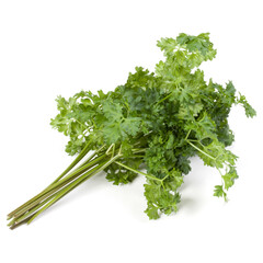 parsley leaves bunch isolated on white background cutout