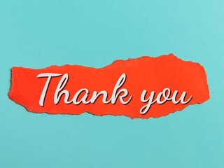 Phrase Thank you written on red torn paper isolated on blue background.