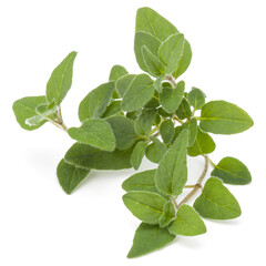 Naklejka premium Oregano or marjoram leaves isolated on white background cutout