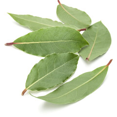 Obraz premium Aromatic bay leaves