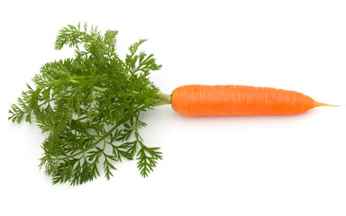 Carrot vegetable with leaves isolated on white background cutout