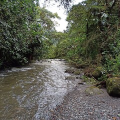 Río entre verdes montañas en Ecuador
