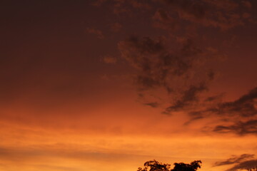 Cielo morado