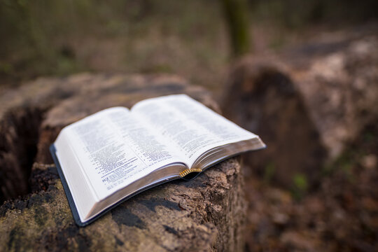 Bible