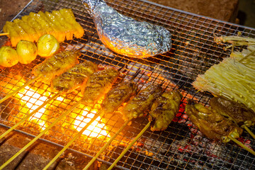 Family outdoor picnic barbecue ingredients