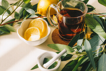 Cup tea with brewing inside, lemon, eucalyptus leaves on white background.