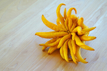 A fresh yellow Buddha’s Hand (Citrus medica var. sarcodactylis) or Fingered citron