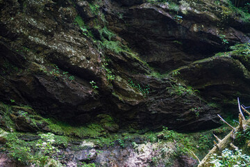 moss covered rocks