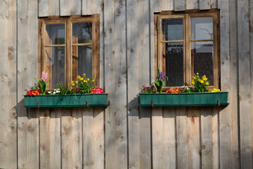 Fototapeta na wymiar Rustic Wooden Windows And Floral Decoration